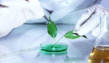 img_biological_products_research