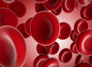 red blood cells (RBCs)
