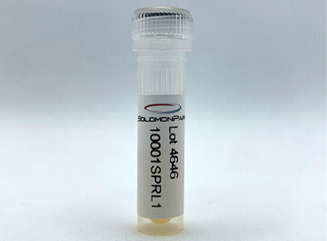 Human Serum
