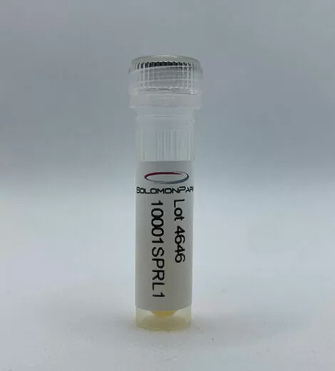 Human Serum