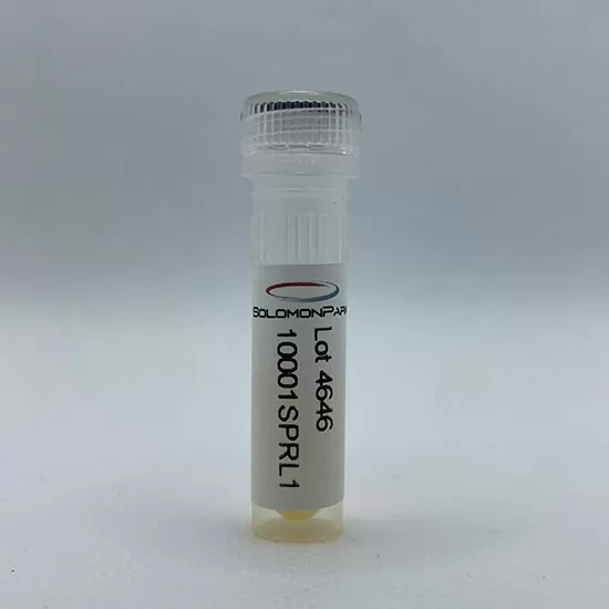 Human Serum