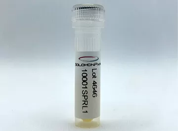 Human Serum Human Serum